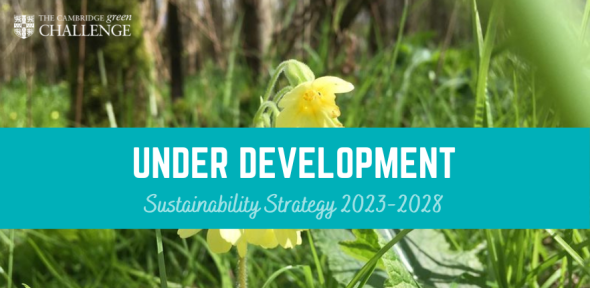 Contribute to a New Sustainability Strategy for 2023-28